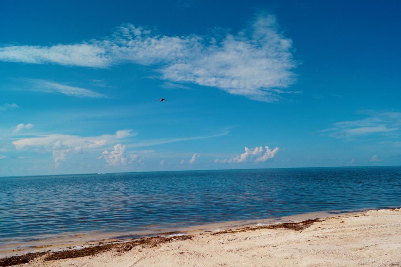 Bed and Breakfast Deer Run On The Atlantic Big Pine Key Exterior foto